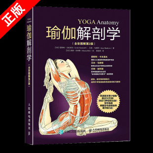 标准瑜伽书教练初入门瑜伽基础动作 瑜伽解剖学全彩图解第2版 正版 结构和原理 书 肌肉健美训练图解塑身瑜伽书籍