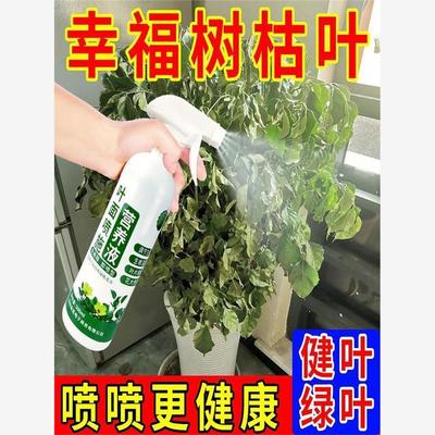 浇花营养液通用【幸福树营养液】防落叶黄叶枯叶一喷绿植物活力素