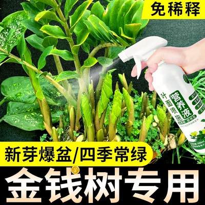 金钱树肥料专用肥喜酸性植物营养液叶子发黄烂根通用型复合叶面肥