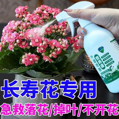 营养液养花专用通用长寿花专用长寿花催花剂花大不掉苞防黄叶掉叶