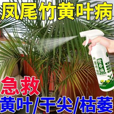 凤尾竹专用肥防黄叶促生长一喷绿免稀释叶面直喷型凤尾竹营养液