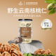 佰斯纳特 云南野生核桃仁孕妇生吃坚果零食无壳罐装 小吃特产新货