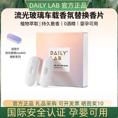 特斯拉3换新版香片替换装