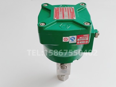 电磁阀 WSNF8327B102 NF8327B102 NF8327B001 隔爆电磁阀