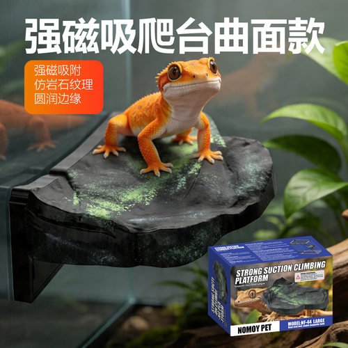 诺摩乌龟蜥蜴专用强吸曲面休息