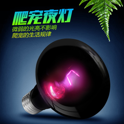 诺摩110V爬虫UVA夜灯加热保温灯