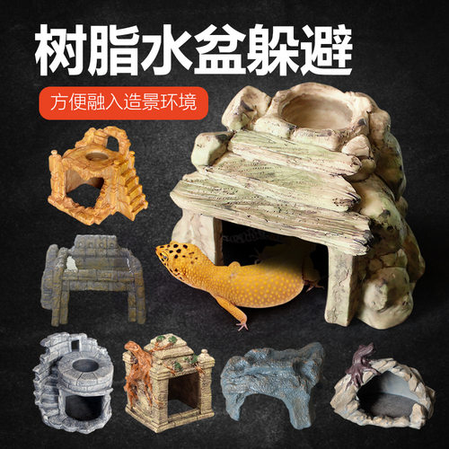 爬箱造景两用保湿饮水爬宠鬃狮蜥