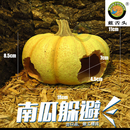 出口南瓜核桃爬虫躲避洞穴造景蝎