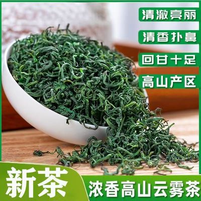 绿茶茶叶2025新茶叶炒青浓香耐泡