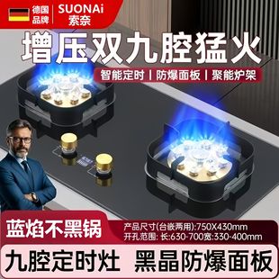 德国品牌燃气灶双灶一级能效天然气家用液化气台式嵌入式高端炉灶