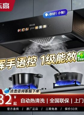 志高抽油烟机家用厨房大吸力中式欧式吸油机自动清洗出租房抽烟机
