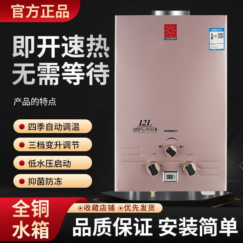 正品燃气热水器电池强排款天然气液化气太太家用煤气罐低水压煤气