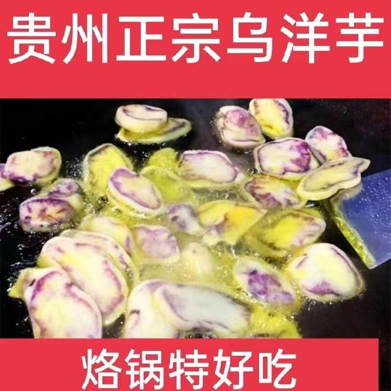 云南新鲜七彩洋芋贵州特产紫土豆冰淇淋乌洋芋花心马铃薯非转种子