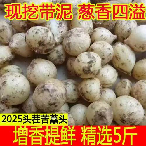 品质野生苦藠团葱新鲜四川苦藠头小蒜头野葱头薤白苦叫五百克
