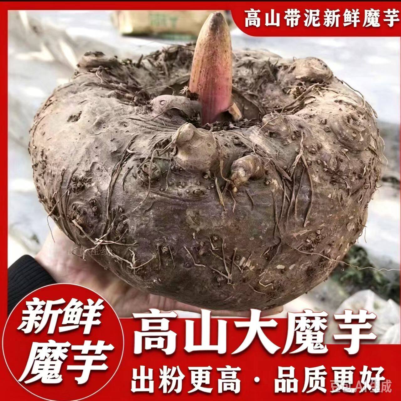 魔芋新鲜现挖现发大魔芋高山种植魔芋豆腐制作原材料豆腐魔芋大个