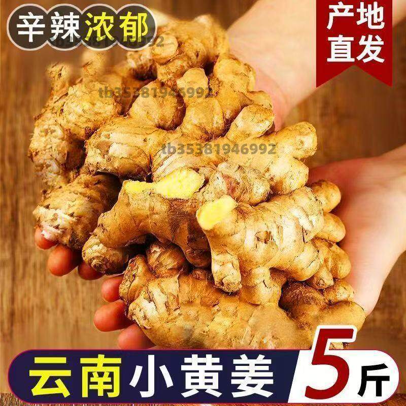 正宗云南小黄姜十斤整箱批发高山生姜月子姜老姜饭店专供辛辣足