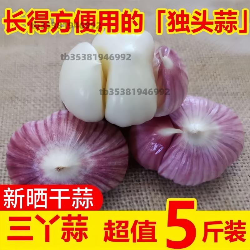 三丫蒜干蒜头2026年三瓣蒜紫皮大蒜头新鲜特价瓣蒜5斤装干蒜装