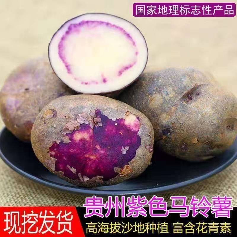 凉都六盘水娘娘山现挖乌洋芋紫皮紫心七彩土豆粉面香糯非转包邮