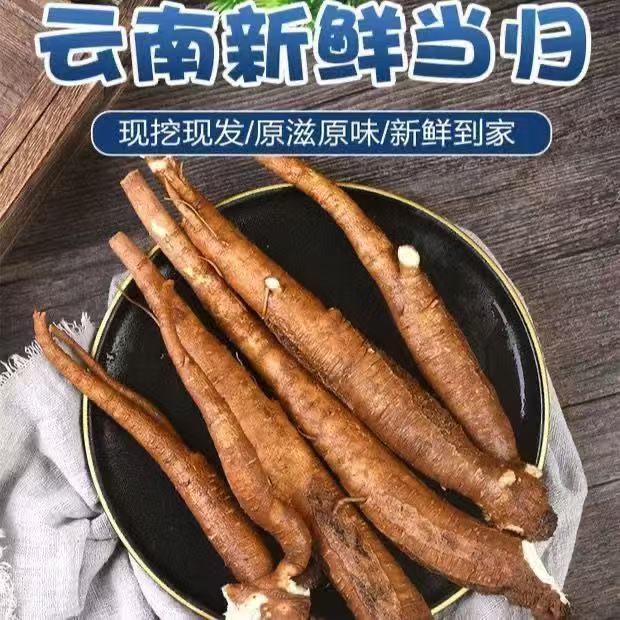 云南野生西归现挖新鲜甜当归整根散装独角归药膳煲汤无硫炖鸡蔬菜