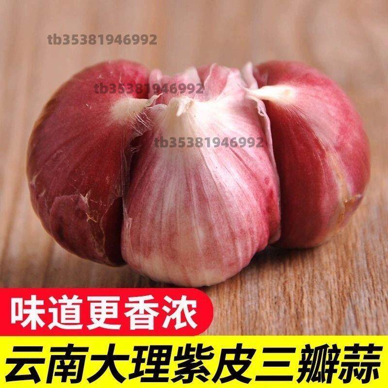 三丫蒜干蒜头2026年三瓣蒜紫皮大蒜头新鲜特价瓣蒜5斤装批发袋
