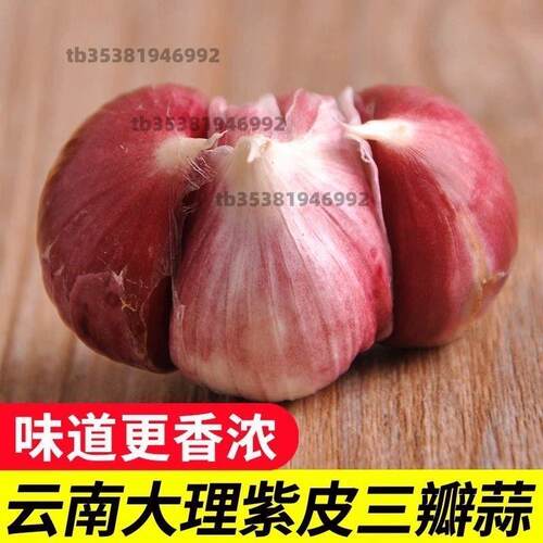 三丫蒜干蒜头2026年三瓣蒜紫皮大蒜头新鲜特价瓣蒜5斤装批发袋