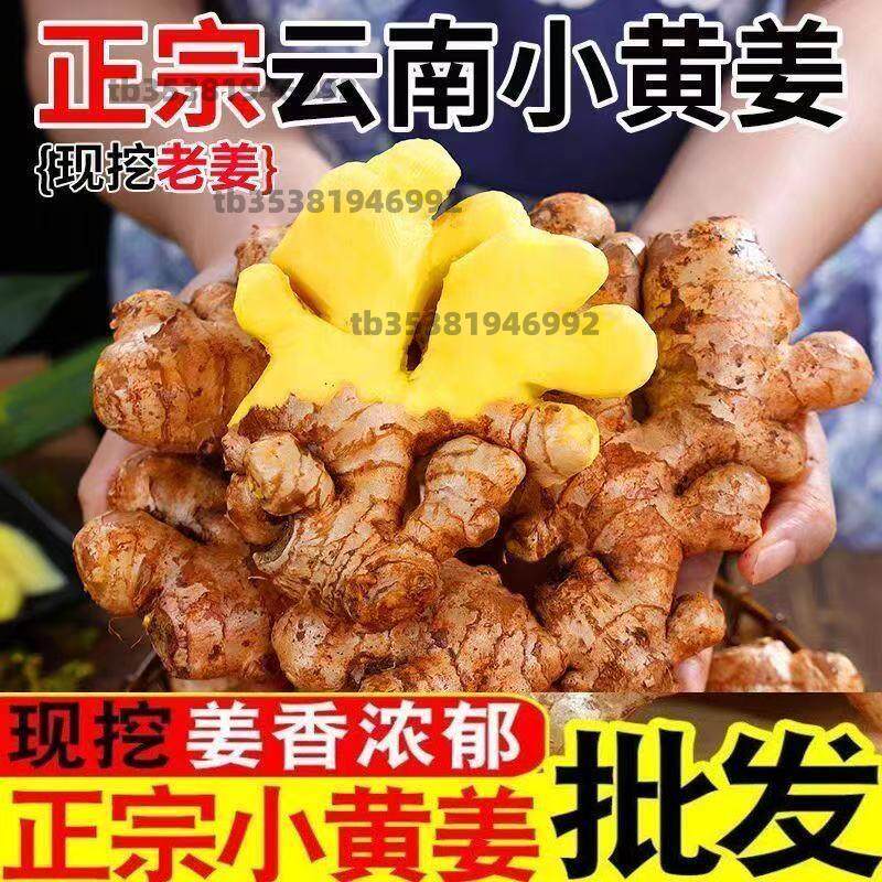 现挖老姜生姜批发应季新鲜蔬菜调味料月子姜云南特级小黄姜特价