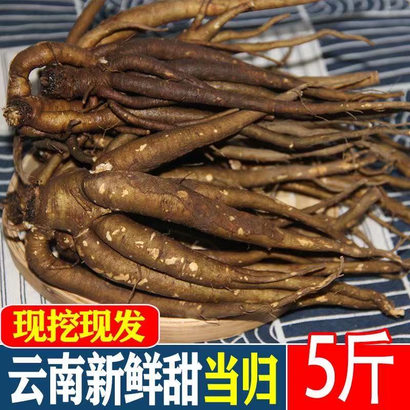 云南新鲜甜当归西归现挖芹根整根散装独角归5斤包邮药膳火锅蔬菜