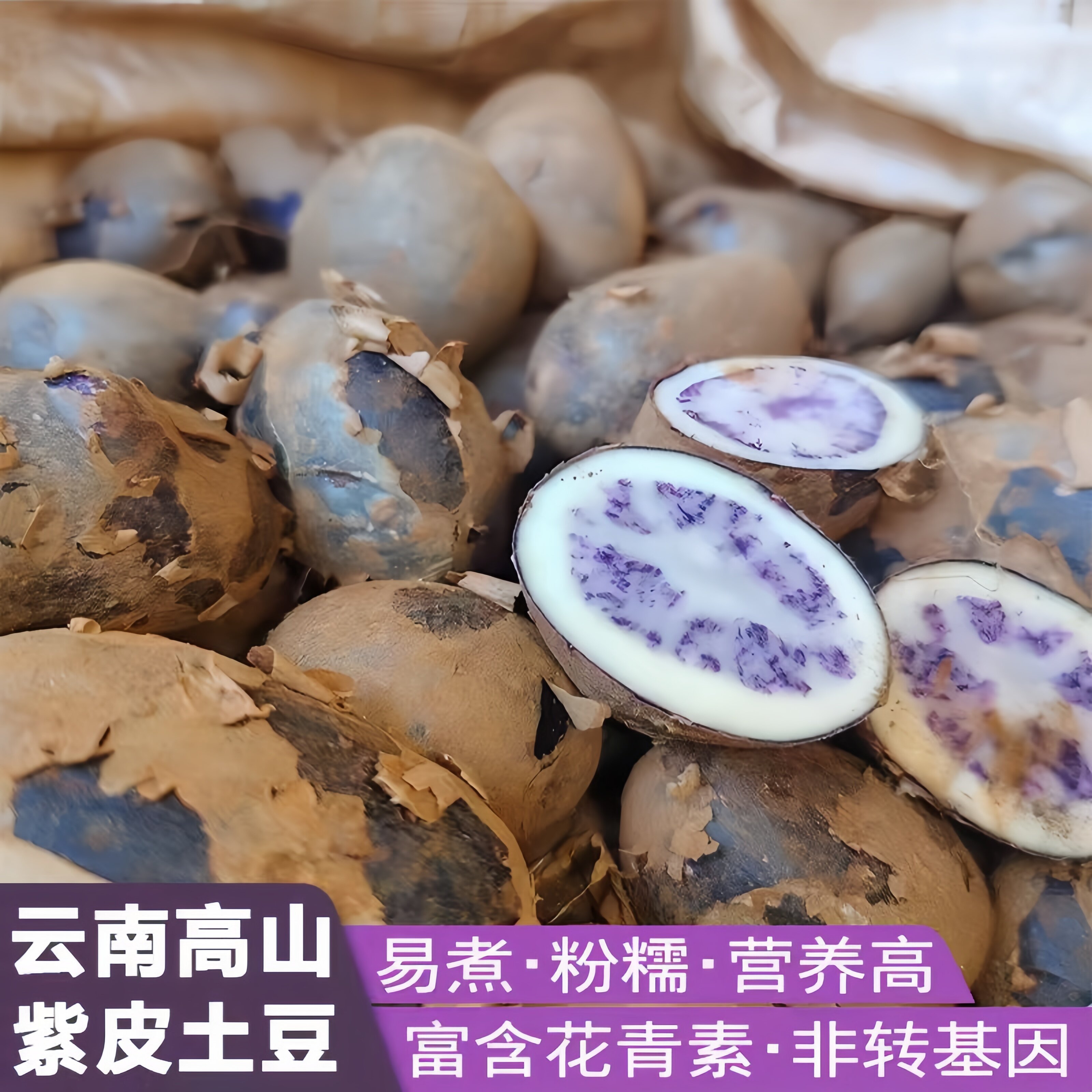 云南新鲜正宗高山农家紫心土豆七彩紫皮马铃薯现挖乌洋芋老品种好