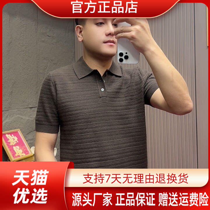 枫善服饰Amphelisia/秋季男士时尚休闲老钱风翻领爆版针织T恤POLO