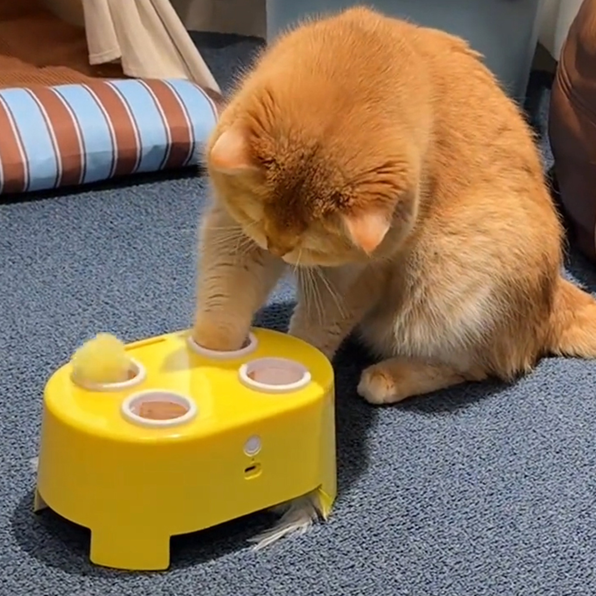 猫咪玩具多功能打地鼠捕猎盒自嗨