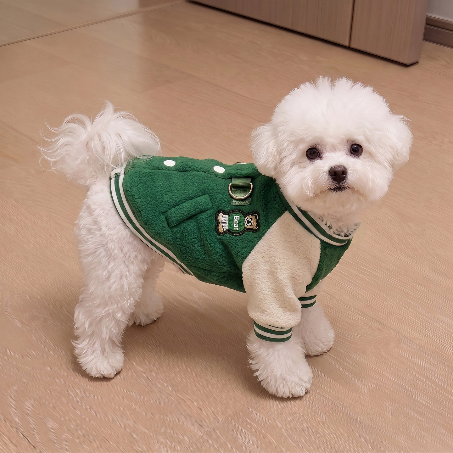 狗狗衣服秋冬帅气棒球服加厚保暖