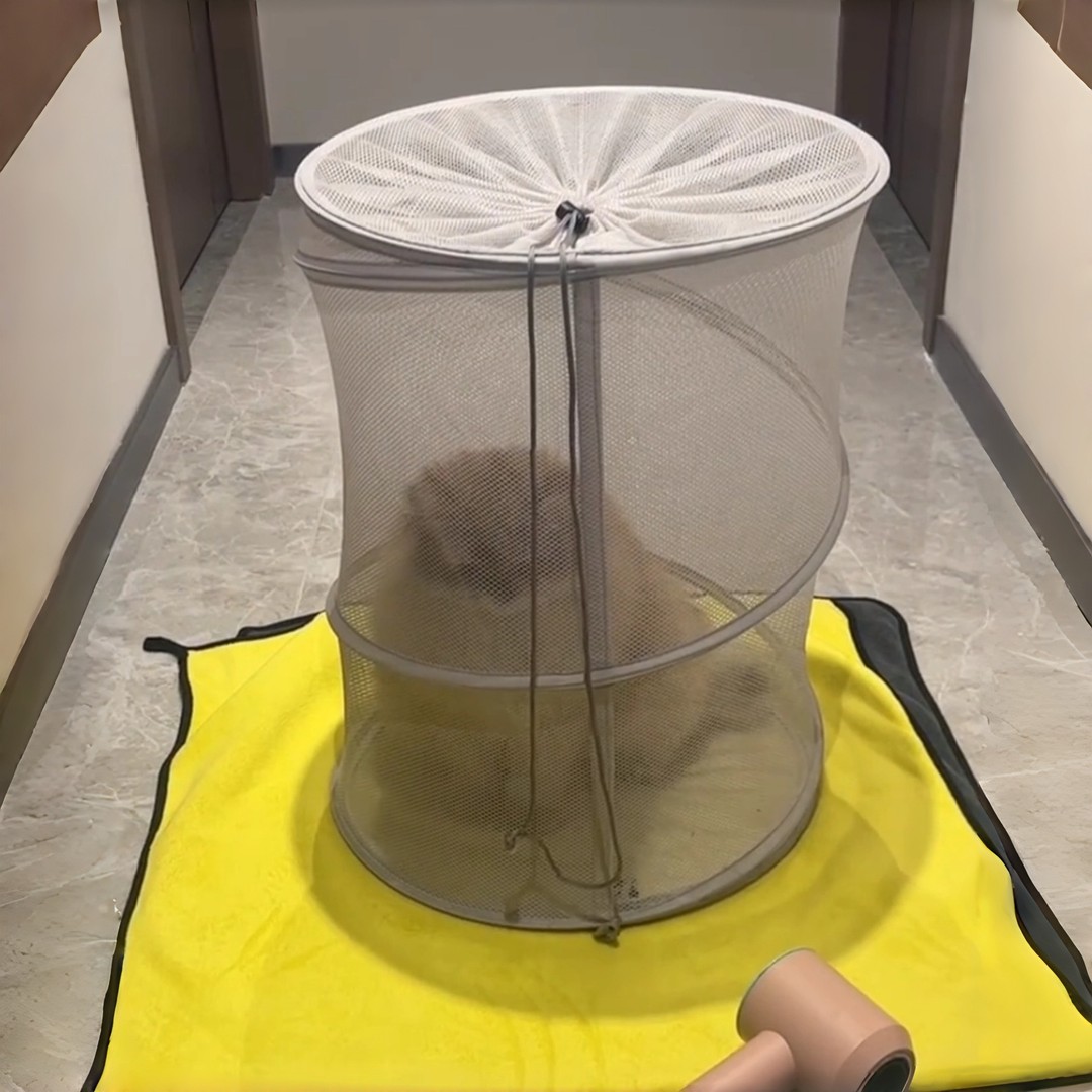 猫咪烘干箱宠物家用静音洗澡吹干