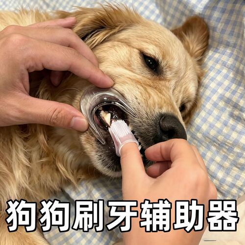 狗狗刷牙辅助器侧边扩口器口腔清
