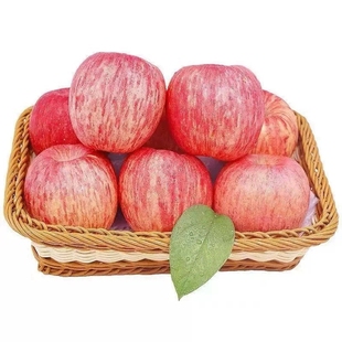 新鲜水果10斤脆甜特精品整箱 正宗山东烟台苹果红富士当季