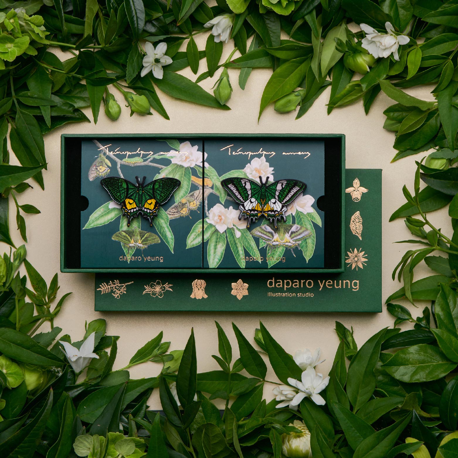 daparo胸针徽章喙凤蝶蝴蝶