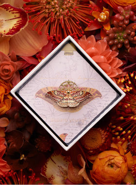 daparo yeung达普罗天蚕蛾蝴蝶胸针高档女项链毛衣链春季穿搭礼物