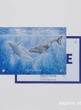 daparo yeung鲸鱼海洋文创学生办公手帐手绘a4文件夹收纳礼物小众