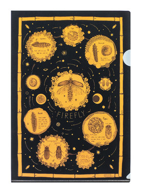 daparo yeung达普罗萤火虫文件夹学生办公文件收纳礼物满40包邮