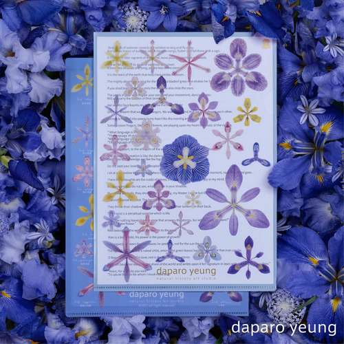 daparoyeung礼物鸢尾单层花朵