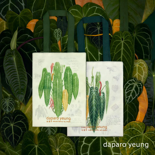 daparo热植背包手绘原创