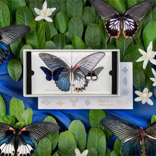 daparo梁祝凤蝶情侣胸针磁吸徽章