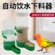鹦鹉饮水器鸟用自动喂水喂食器喝水器芦丁鸡专用食盒鸟笼外挂用品