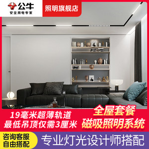 公牛极窄超薄嵌入式磁吸轨道灯