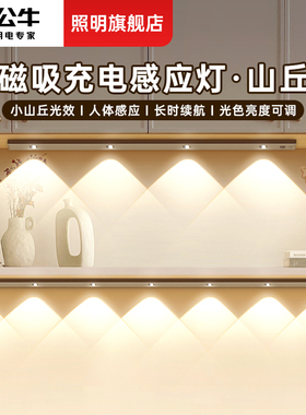 公牛人体感应灯带无线自粘入户门玄关鞋柜进门小山丘充电led灯条