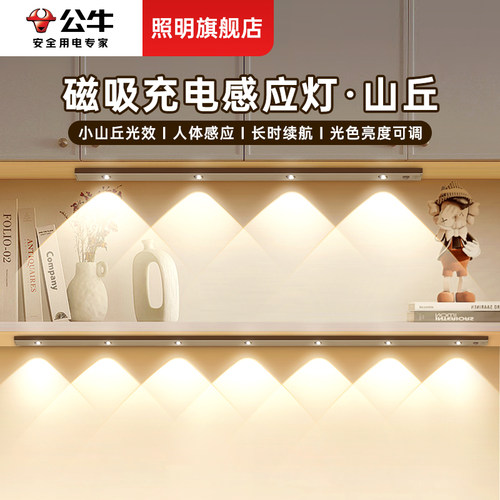 公牛猫眼橱柜灯玄关人体感应灯条