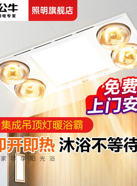 公牛四灯暖浴霸300x600照明排气扇一体卫生间集成吊顶30x60取暖灯