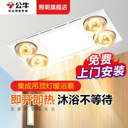 公牛集成吊顶灯暖浴霸300x600