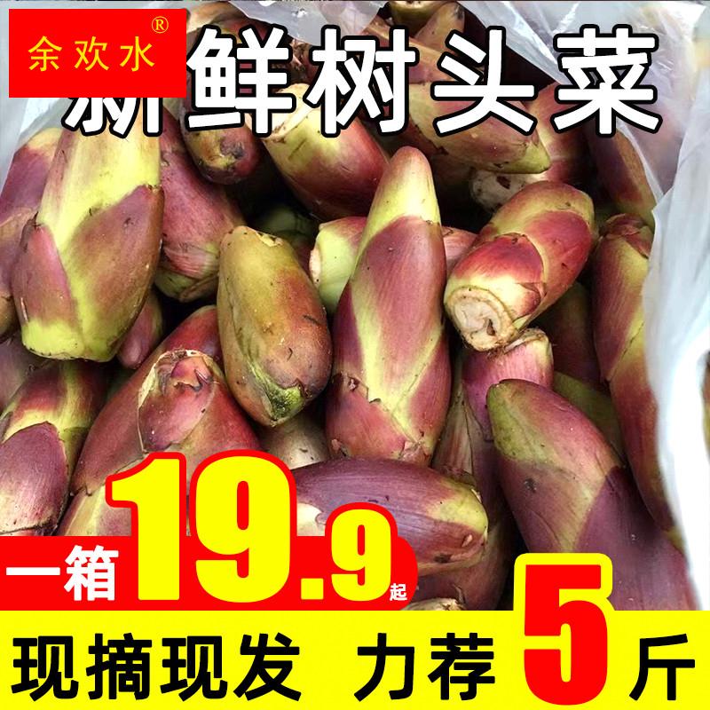 树头菜新鲜现摘刺苞菜当季农家野蔬菜刺嫩芽5斤黄龙苞楤木子弹头