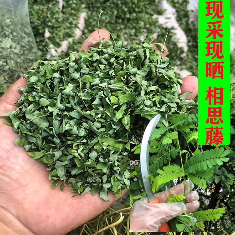 新晒干品相思藤 中草药茶 相思叶藤 红眼鸡藤鸡眼籽藤纯叶子