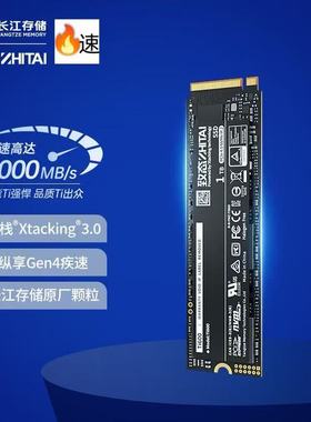 致态长江存储Ti600系列1TB SSD固态硬盘NVMe M.2接口